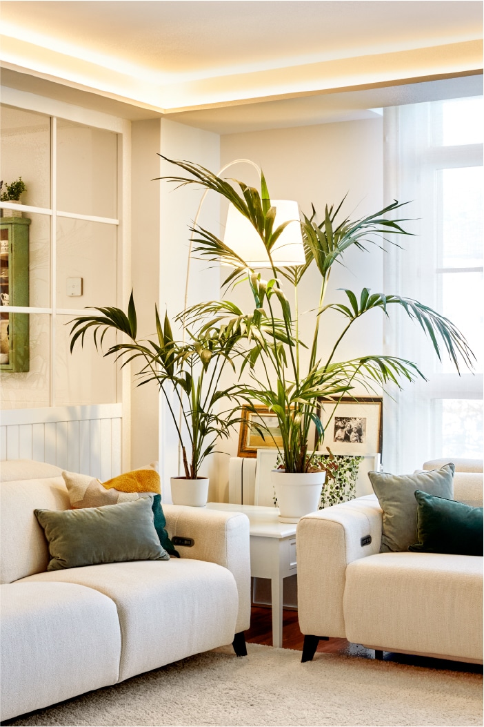 Reforma integral y decoración en Irún